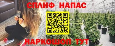 скорость Владимир
